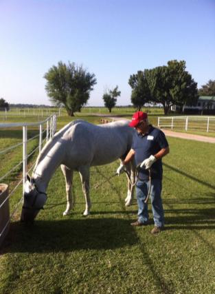 10527863_820533314645702_3266432338976744350_n