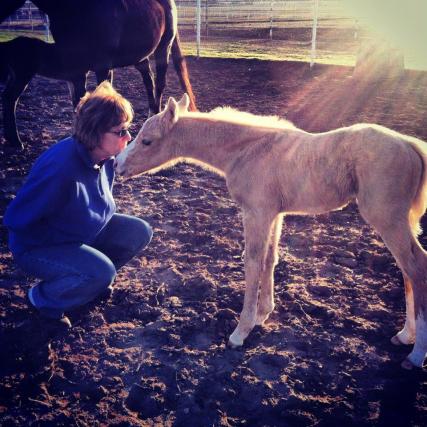 546524_397599606939077_148351687_n